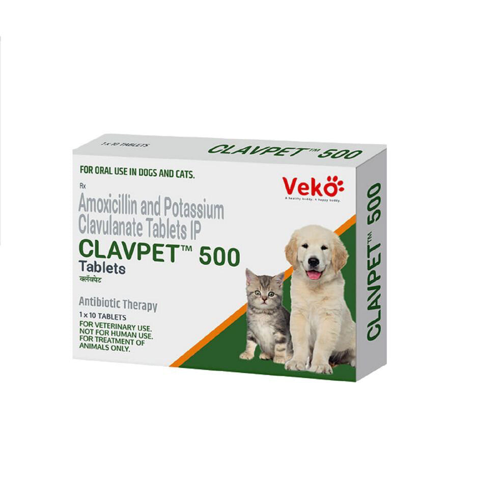 Veko Clavpet التهابات الجلد , التهابات اللثة بسبب الهوائية البكتيريا الالهوائية (أمراض اللثة في الكلاب) القطط: التهابات الجلد ، التهابات المسالك البولية