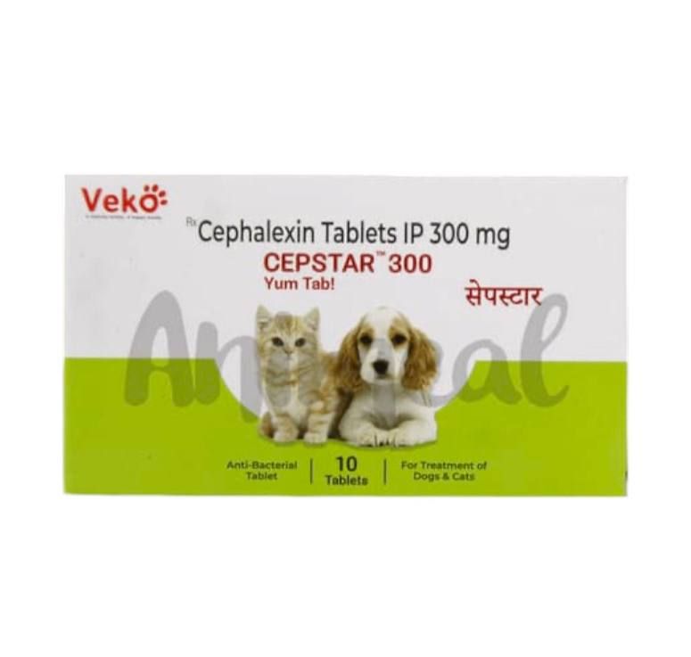 Veko- سيبستار سيفالكسين للكلاب والقطط