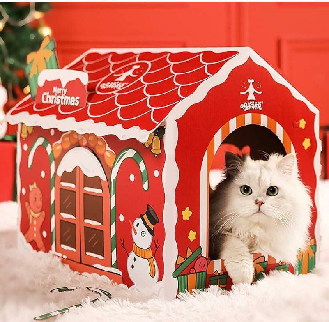 بيت كارتون مع الخداشة