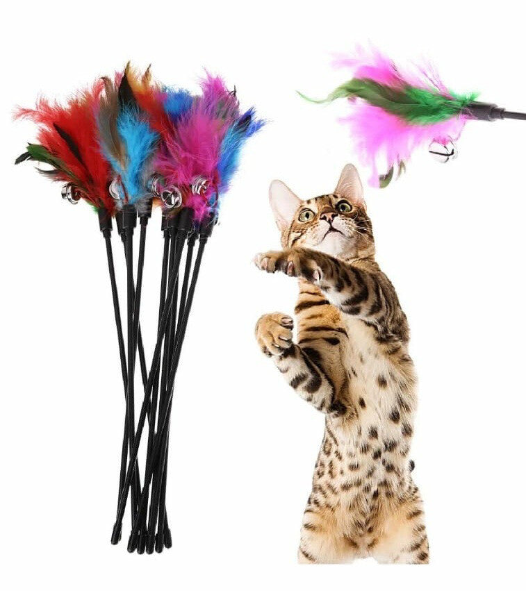 اللعبة سنارة، اقل عدد 10 قطعة ، سعر القطعة 1 الف