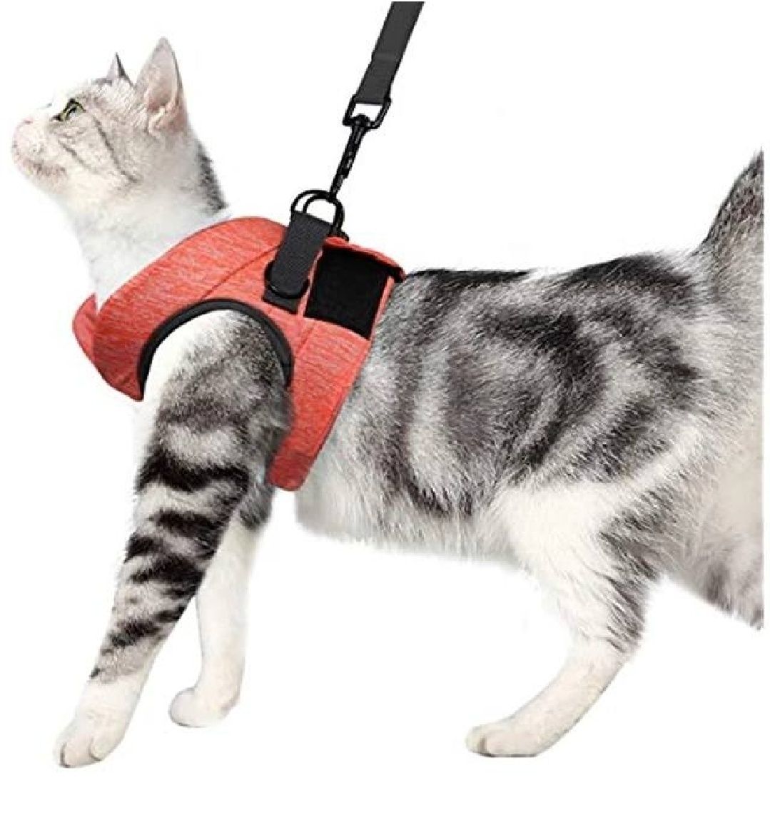 ليش و هارنس ناعم قياس M لون برتقالي