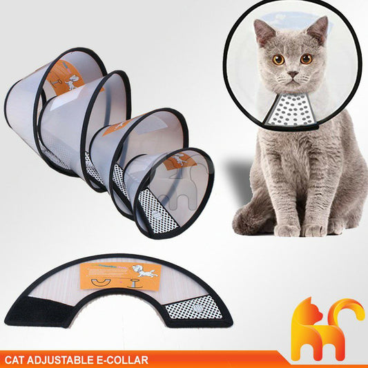 [[#4]]طوق عمليات