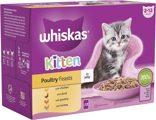 Whiskas Kitten x12 دواجن في جيلي