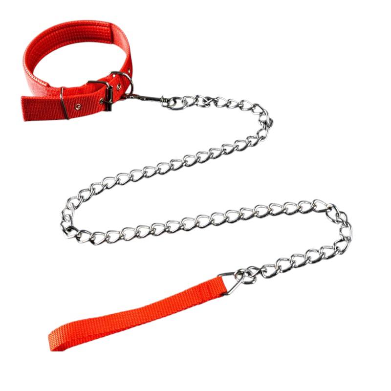 M سلسلة و طوق الكلب